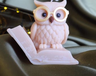 Candela a forma di gufo fatta a mano, graziosa candela in cera di soia, regalo a tema gufo, regalo per insegnanti, regalo per amanti dei libri, accogliente decorazione per la casa, regalo fatto a mano