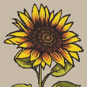 Cross Stitch Pattern Sunflower Instant Download PdF