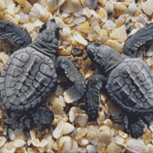 Twin Turtles Cross Stitch Pattern Animal Series No. 44 Design Instant Download PdF