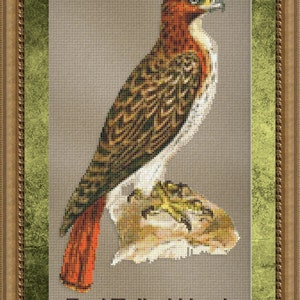 Cross Stitch Pattern Red Tailed Hawk Bird Design Instant Download PdF