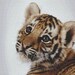 see more listings in the Cross Stitch-Animals section