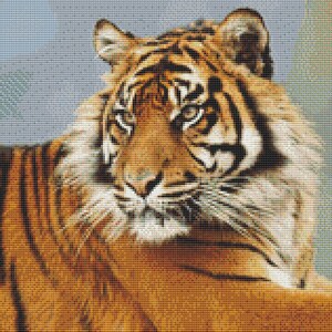 Wunderschöner Tiger Kreuzstich Muster Tier Serie Nr. 6 Design PdF