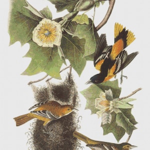 Cross Stitch Pattern Vintage Birds Instant Download PdF Antique Art Floral