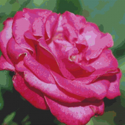 Cross Stitch Pattern Rose Trio small Floral Design Instant - Etsy