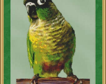 Tropical Conure BIrd Cross Stitch Pattern - Beautiful Bird XStitch Design Instant Download PdF