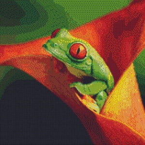 Cute Tree Frog on Orange Cross Stitch Pattern Animal Series Design Instant Download PdF