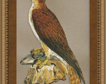 Cross Stitch Pattern Osprey Cross Stitch Cross Stitch Pattern / Design