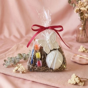May include: A clear plastic gift bag tied with a dark red ribbon containing a white butterfly-shaped plaster figure, a white ladybug-shaped plaster figure, a small blue paintbrush, and three tiny pots of orange, yellow, and red paint on brown filler.