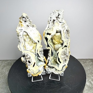 May include: Two vertical agate slices with rough, textured gray outer edges and polished, banded interiors featuring cream, yellow, and black patterns. The stones are displayed on clear acrylic stands, with the text Set 5 at the bottom.