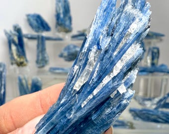 Blue Kyanite Blades, AA and AAA Grade Raw Kyanite Spears, Natural Crystal Shards