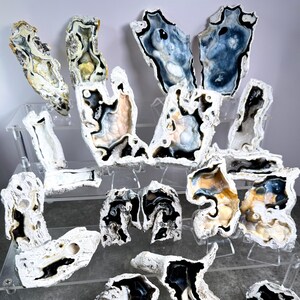 May include: A collection of polished agate slices in various shapes and sizes. The slices display a range of colors, including black, white, blue, and gold, with intricate patterns. They are displayed on clear acrylic stands.