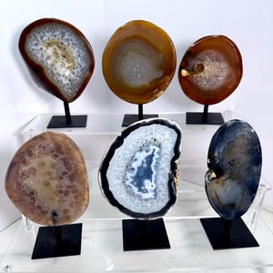 Polished Agate on Pin Stand, Natural Decor, Crystal Display