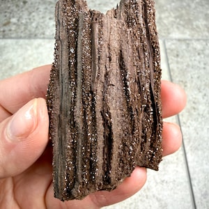 May include: A piece of dark brown wood with a rough, textured surface. The wood has vertical grain lines and is covered with small, white crystalline deposits. The object is held in a hand.