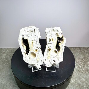 May include: Two white, textured rock formations with dark brown and black interior details are displayed on clear stands. The rocks are set against a gray background on a black circular base. The text "Set 8" is visible at the bottom.