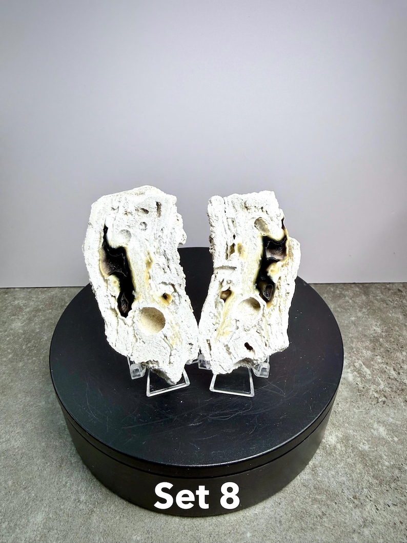 May include: Two white, textured rock formations with dark brown and black interior details are displayed on clear stands. The rocks are set against a gray background on a black circular base. The text "Set 8" is visible at the bottom.