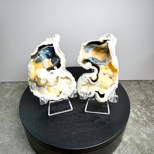 May include: Two geode halves with a mix of colors, including cream, tan, blue, and black, are displayed on clear stands. The geodes are set on a black circular base. The text "Set 4" is visible on the base.