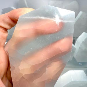 Pu&ograve; includere: Un tagliere in legno fatto a mano con finitura naturale. La tavola presenta un bordo vivo su un lato e una forma rettangolare. Viene probabilmente utilizzato per la preparazione e la presentazione di cibi.