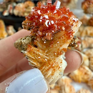 Fiery Vanadinite on Barite: Morocco Mineral Specimen, Sparkling Red Crystals
