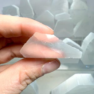 Pu&ograve; includere: Un cristallo di selenite traslucido rosa chiaro tenuto in mano, con una superficie ruvida e irregolare. Altri cristalli di selenite sono visibili sullo sfondo, di varie dimensioni e forme.