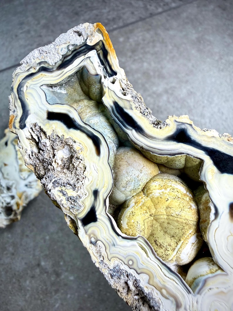 May include: A cross-section of a geode, showcasing layers of white, black, and yellow-toned agate. The interior reveals a cluster of rounded, yellow-hued formations. The outer edge has a rough, textured appearance, with a mix of colors.