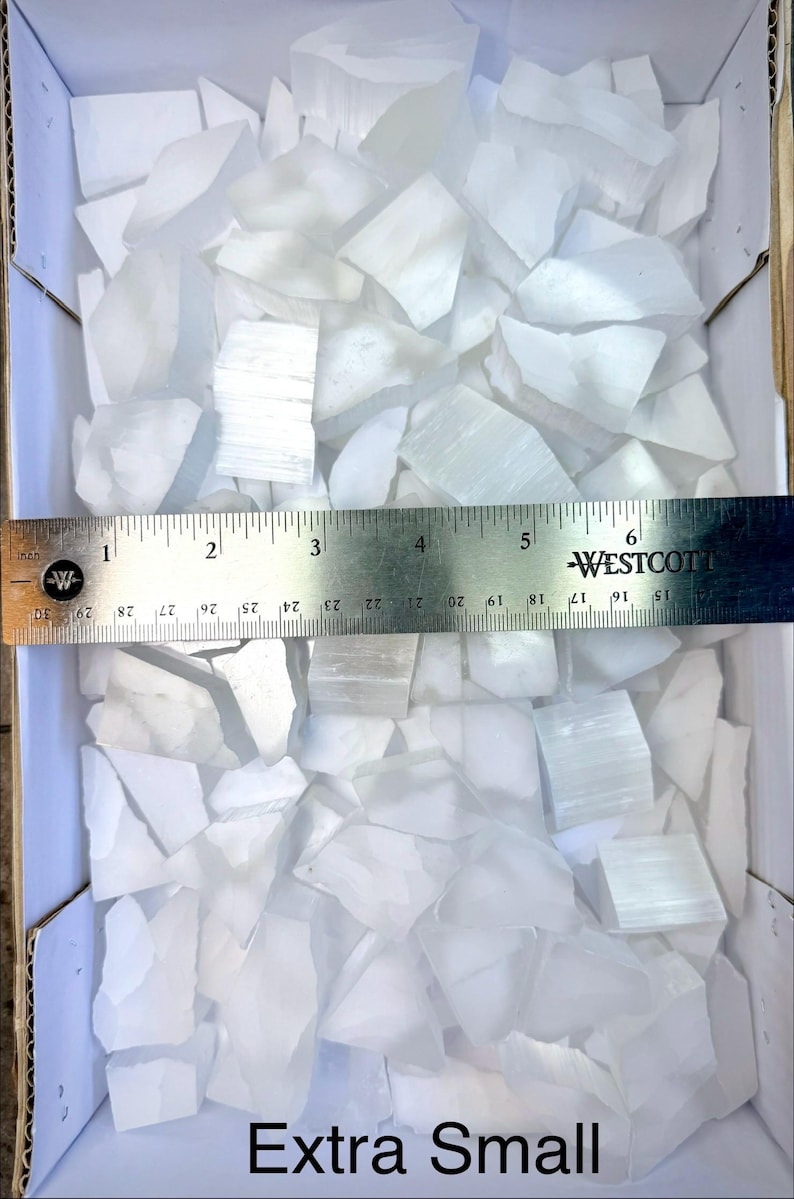 Pu&ograve; includere: Una scatola piena di pezzi di cristallo di selenite bianco traslucido extra piccoli. Un righello mostra che i pezzi sono lunghi circa 2,5-15 cm. Il testo "Extra Small" &egrave; visibile.