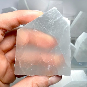 Pu&ograve; includere: Un cristallo di selenite traslucido, grigio chiaro, tenuto in mano. Il cristallo ha una consistenza ruvida e naturale con striature interne visibili. Altri pezzi di selenite sono visibili sullo sfondo.