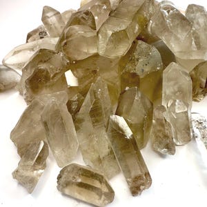 Puede incluir: Una colección de cristales de cuarzo ahumado en bruto y natural. Los cristales varían en tamaño y forma, con un color marrón claro translúcido. Están agrupados, creando una exhibición texturizada y orgánica.
