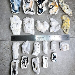 May include: An overhead shot displays a collection of irregularly shaped, natural stone specimens. The stones vary in color, including white, black, blue, and yellow, with a rough, textured surface. A metal ruler with inch measurements is placed across the center.