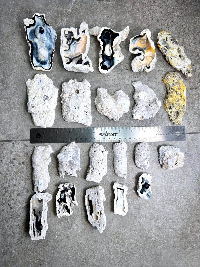 May include: An overhead shot displays a collection of irregularly shaped, natural stone specimens. The stones vary in color, including white, black, blue, and yellow, with a rough, textured surface. A metal ruler with inch measurements is placed across the center.