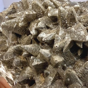 Hundszahn Calcit aus Mexiko