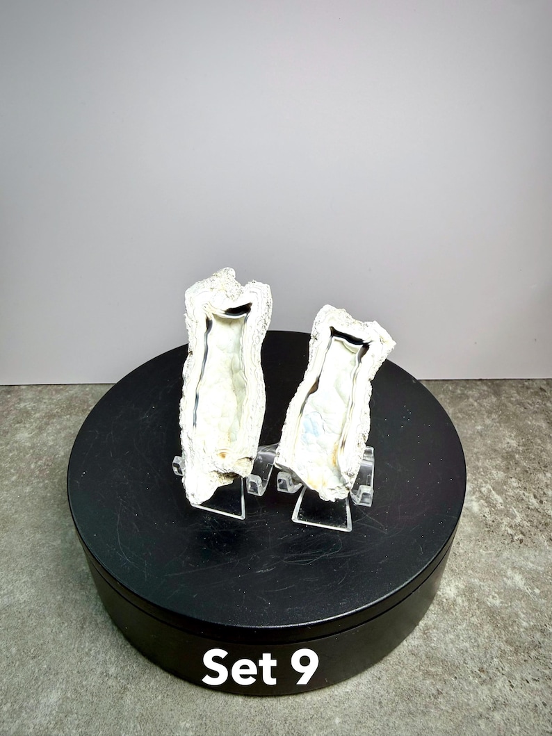 May include: Two white and silver decorative oyster shell pieces, displayed on clear stands. The shells have a textured, natural appearance. The set is labeled "Set 9" in white text.
