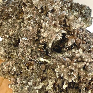 Schokoladen Hundszahn Calcit aus Mexiko - extra große Exemplare