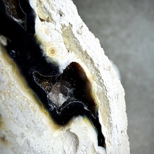 May include: Close-up of a geode with a striking contrast of colors. The interior features a deep black core, bordered by layers of cream, tan, and white. The outer shell is a rough, textured white. A natural, decorative piece.