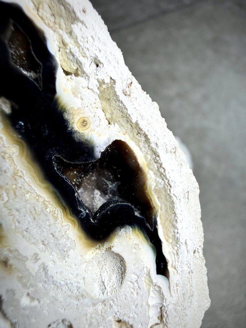May include: Close-up of a geode with a striking contrast of colors. The interior features a deep black core, bordered by layers of cream, tan, and white. The outer shell is a rough, textured white. A natural, decorative piece.