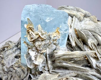 Aquamarijn op Moskoviet exemplaar, Pakistaans kristal, mineraal blauw beril, displaystuk voor verzamelaars