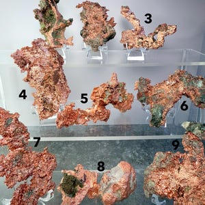 May include: A collection of nine raw copper specimens, each with a unique, irregular shape. The copper has a reddish-brown hue with areas of green and dark patches. The specimens are displayed on clear acrylic stands, showcasing their natural textures.