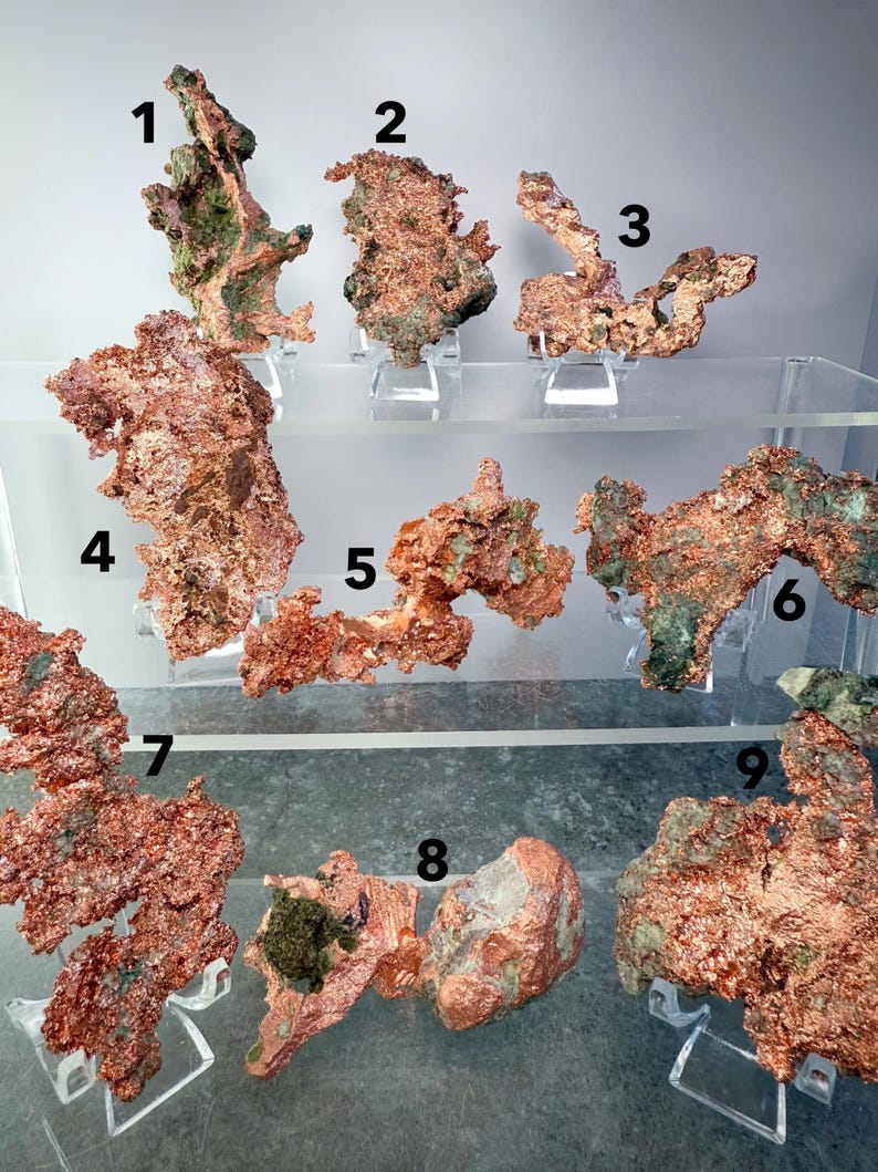 May include: A collection of nine raw copper specimens, each with a unique, irregular shape. The copper has a reddish-brown hue with areas of green and dark patches. The specimens are displayed on clear acrylic stands, showcasing their natural textures.