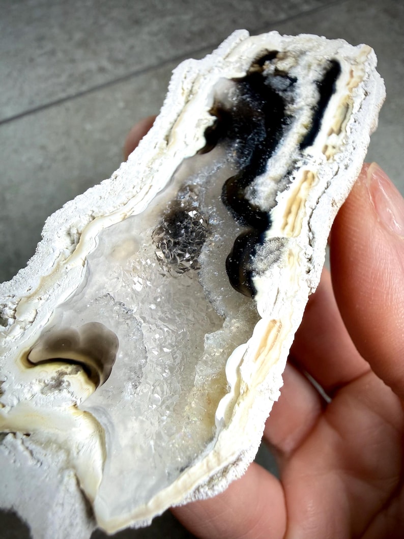 May include: A natural geode specimen with a rough, white exterior and a hollow interior. The interior features clear crystal formations, with black and brown mineral deposits. The geode is held by a hand.