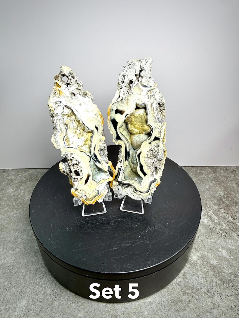May include: Two vertical agate slices with rough, textured gray outer edges and polished, banded interiors featuring cream, yellow, and black patterns. The stones are displayed on clear acrylic stands, with the text Set 5 at the bottom.
