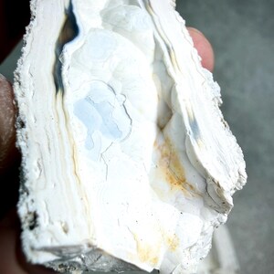 May include: Close-up of a white and cream-colored rock formation with dark gray and light brown veining. The rock has a layered texture with a rough, uneven surface. A small section of the rock has a light blue hue.