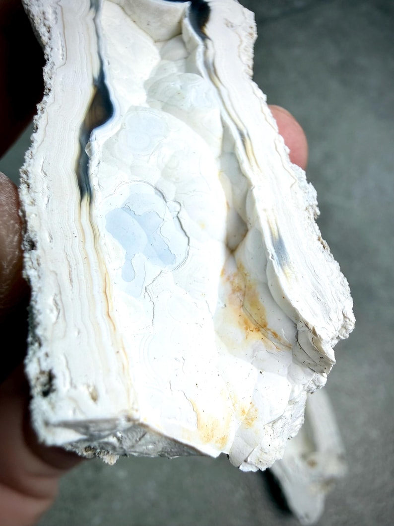 May include: Close-up of a white and cream-colored rock formation with dark gray and light brown veining. The rock has a layered texture with a rough, uneven surface. A small section of the rock has a light blue hue.