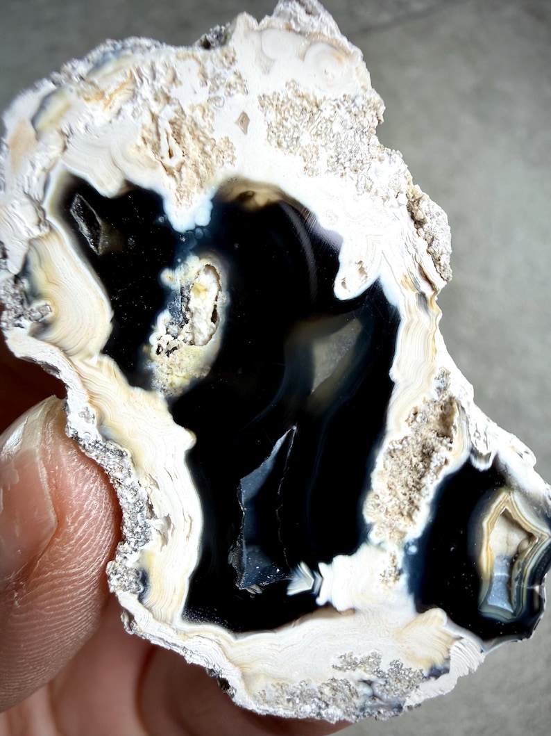 Florida Agatized Coral Fossil Specimen, Natural Agate Replacement, Druzy Quartz Cavities image 1