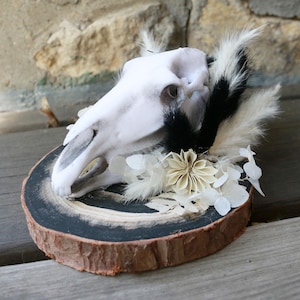Grim Faux Horse Skull Floral Plaque - Original Art
