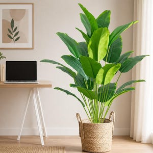 May include: A large artificial plant with vibrant green leaves, displayed in a woven basket with handles. The plant adds a touch of nature to an interior space. The basket is made of natural fibers.