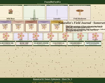 Folha imprimível de efêmeros botânicos | Diário de arte com elementos da natureza | Pacote de sementes de flores prensadas de herbário | Download instantâneo