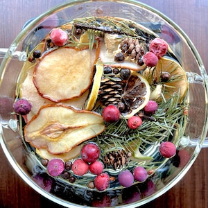 May include: A clear glass pot filled with water, containing a festive simmer pot mixture of dried pear slices, dehydrated lemon wheels, small brown pinecones, fresh green pine needles, whole cloves, and bright red cranberries floating throughout.