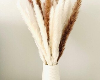 Hierba de la Pampa Blanca de 43 cm (17 pulgadas) – Decoración natural seca para el hogar y eventos