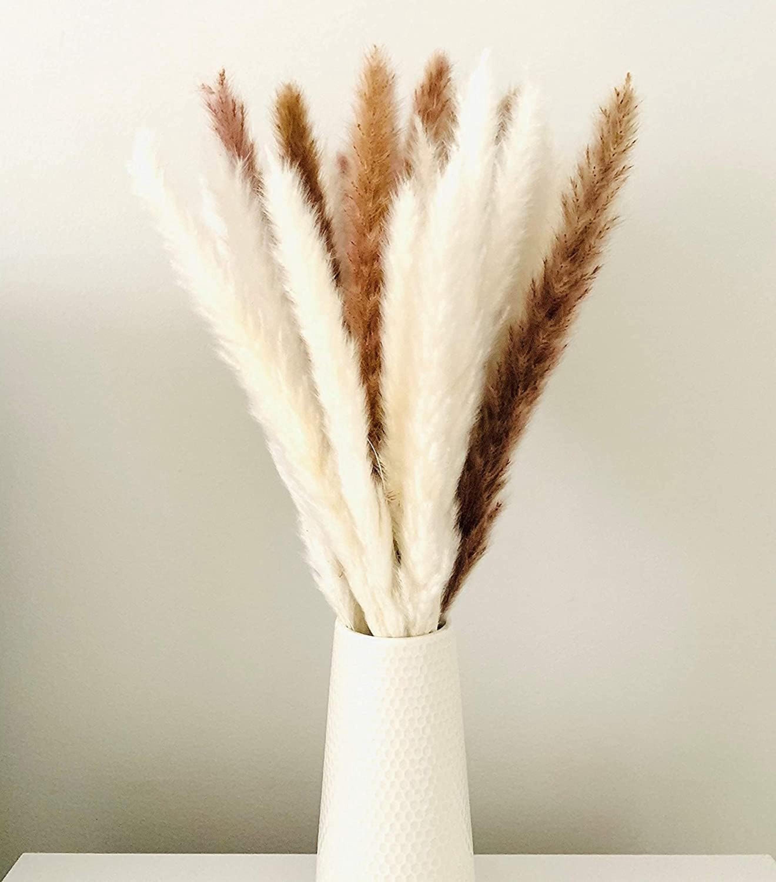 White Pampas Grass 17″ – Natural Dried Decor for Home & Events White Pampas Grass 17″ – Natural Dried Decor for Home & Events