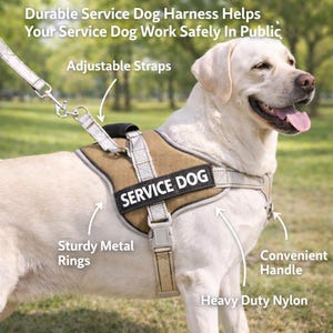 May include: A tan and grey service dog harness with the words "SERVICE DOG" on the side. The harness has adjustable straps, sturdy metal rings, and a convenient handle. The text on the image says "Durable Service Dog Harness Helps Your Service Dog Work Safely In Public."