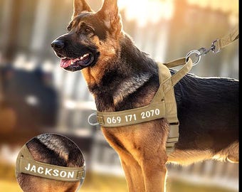 Pettorina tattica personalizzata per cani: nome personalizzato, antistrappo, gilet riflettente per l'addestramento